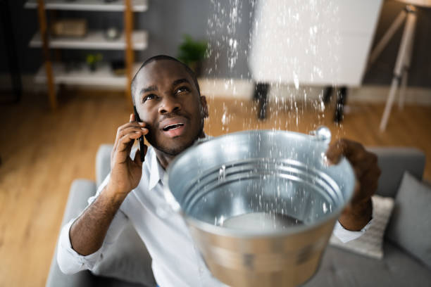 Best 24/7 water damage repair  in Roslyn, PA