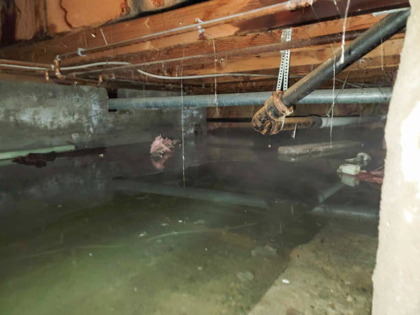 Water damage restoration experts in PA