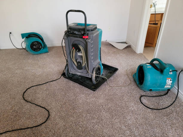  Roslyn, PA Water damage restoration Pros