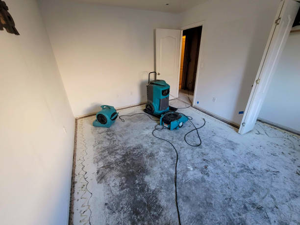 Best Water damage restoration near me  in Roslyn, PA