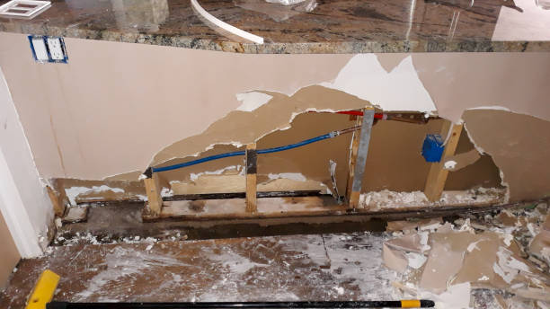Best Water damage mitigation services  in Roslyn, PA