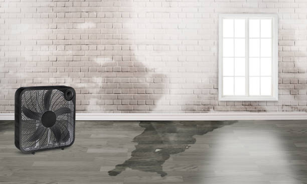 Best Emergency water damage restoration  in Roslyn, PA