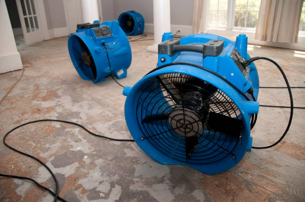 Best Carpet water damage restoration  in Roslyn, PA