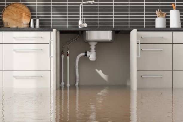 Best Professional water damage repair  in Roslyn, PA