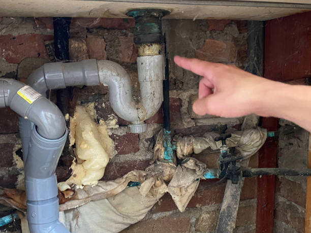 Best Local water damage restoration  in Roslyn, PA