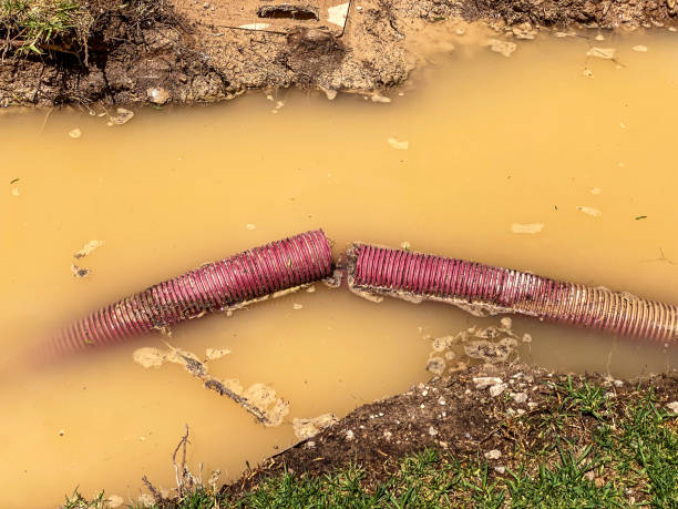Best Water damage restoration near me  in Roslyn, PA